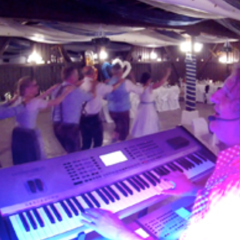 alleinunterhalter_sandro_hoffmann-7